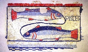 Mosaique poissons musee_sandelin