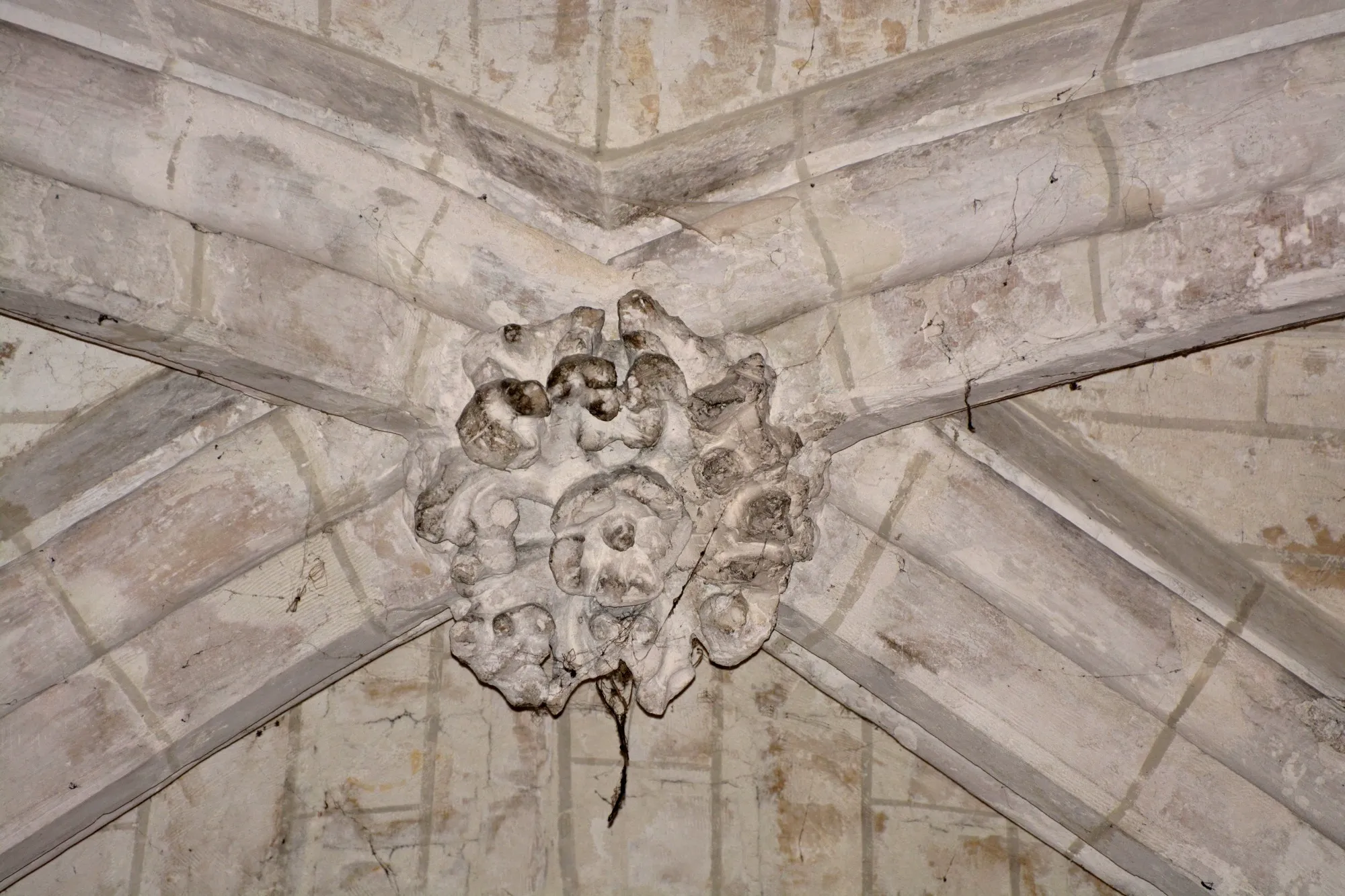 Rosace de clé de voutes de la chapelle de saint Omer : C07