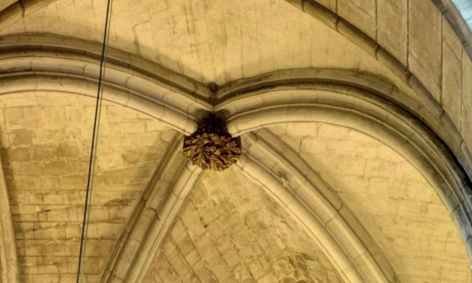 Rosace de clé de voutes du transept Sud latéral est : R17