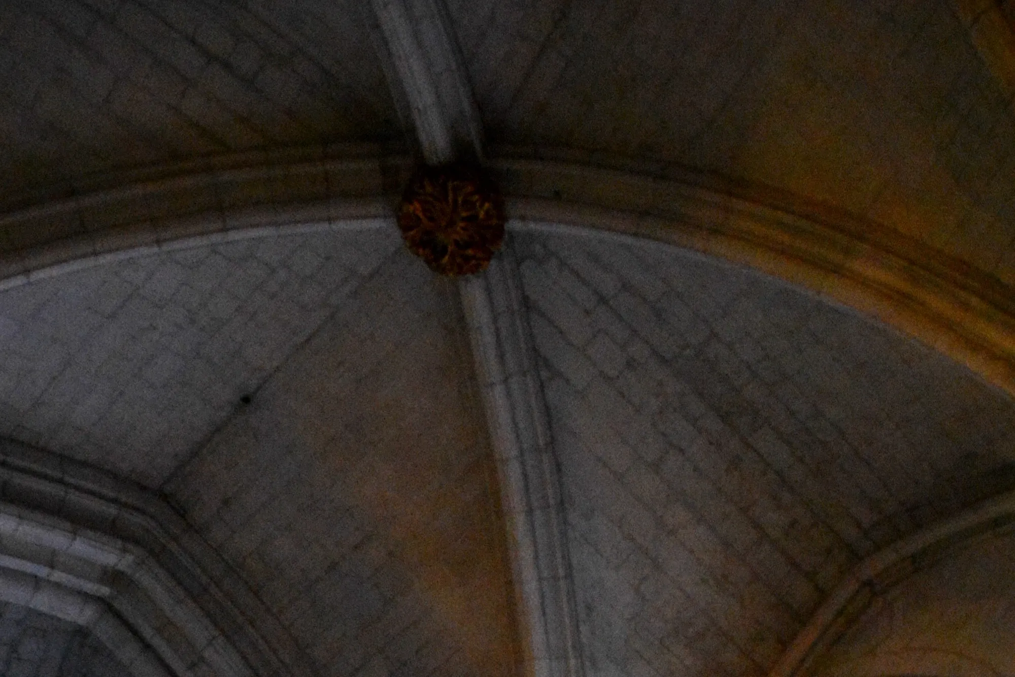 Rosace de clé de voutes du transept Sud latéral est : R18