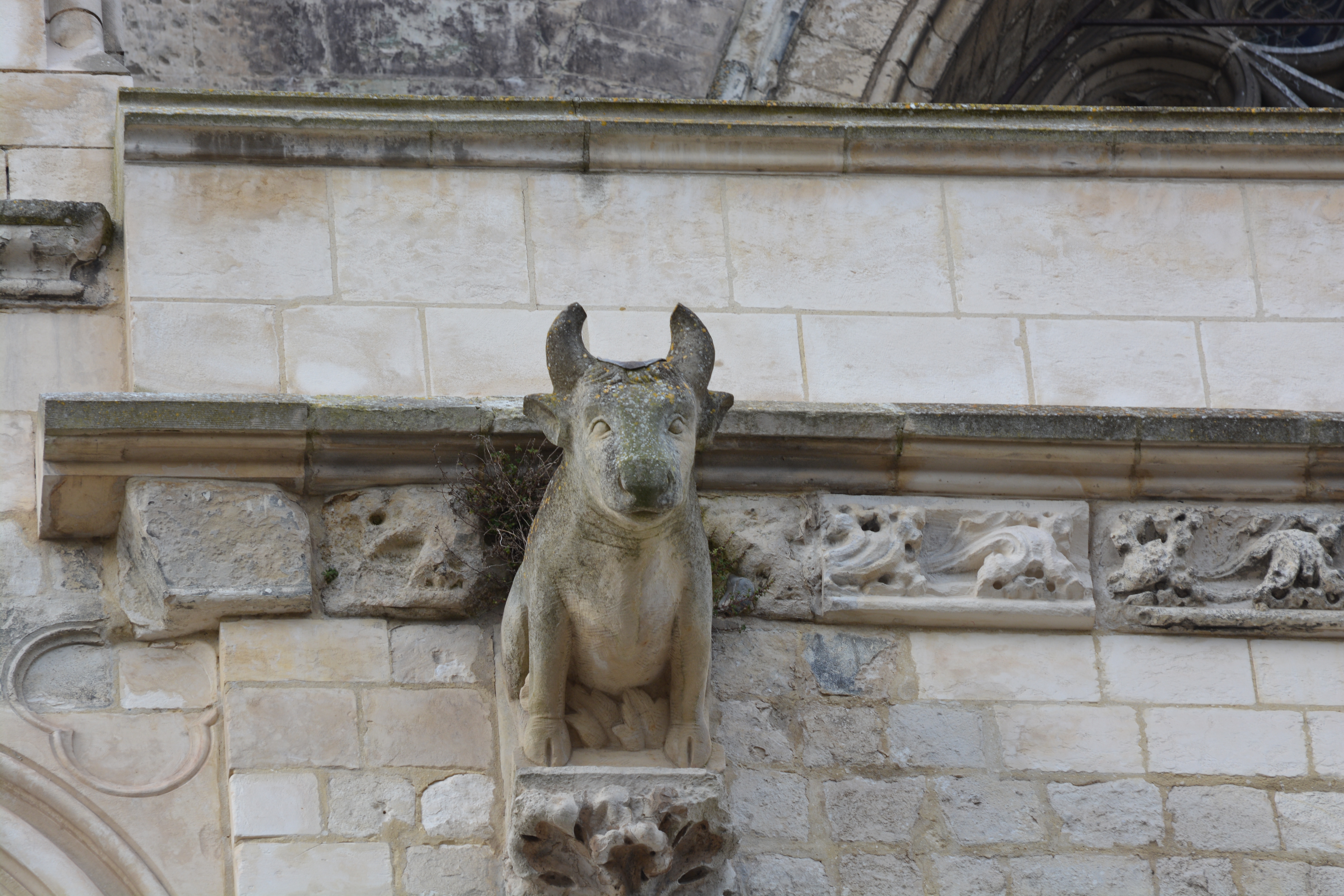 Façade transept sud de Notre-Dame de saint-omer|  le boeuf du pignon porche sud