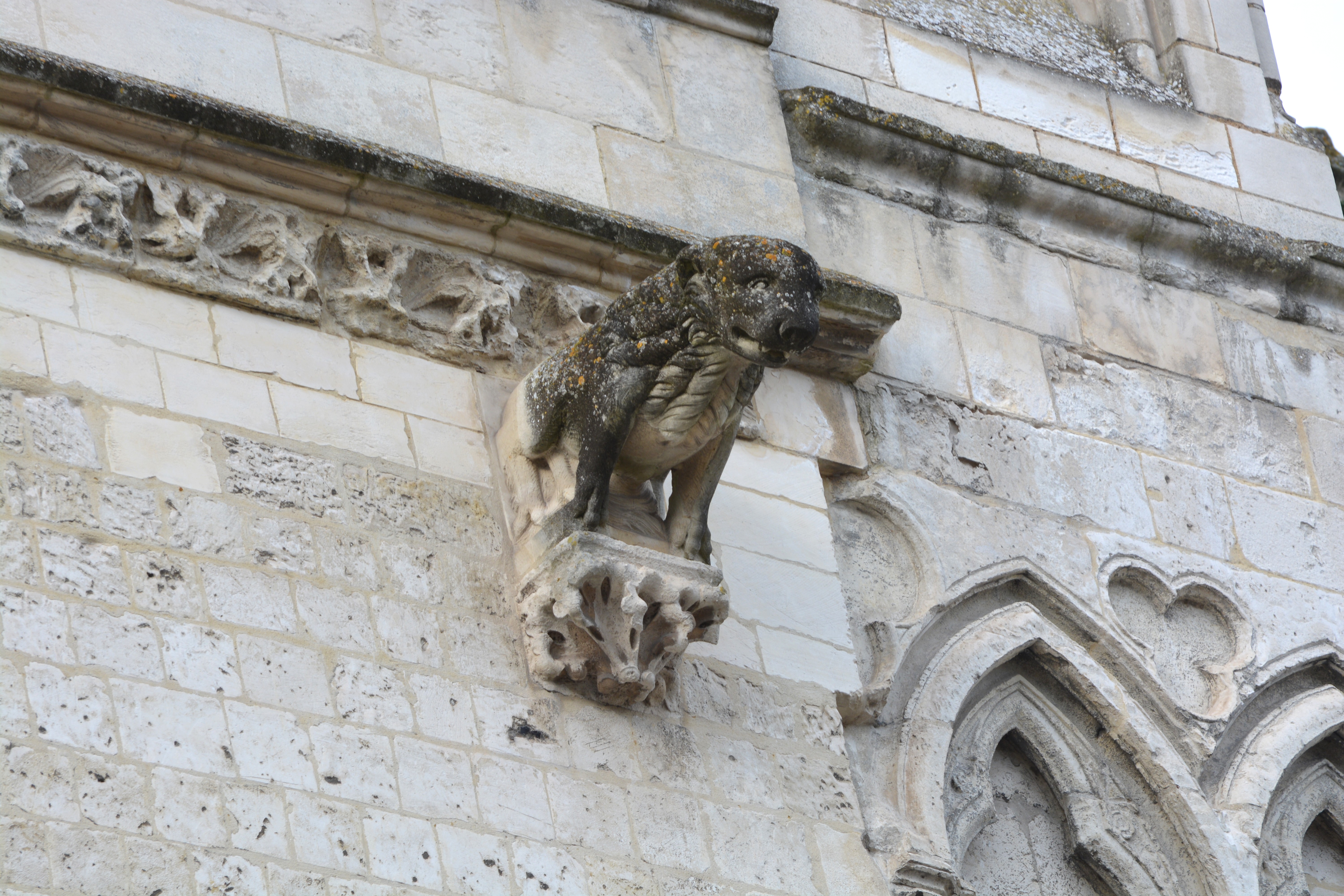 Façade transept sud de Notre-Dame de saint-omer|  le lion du pignon porche sud
