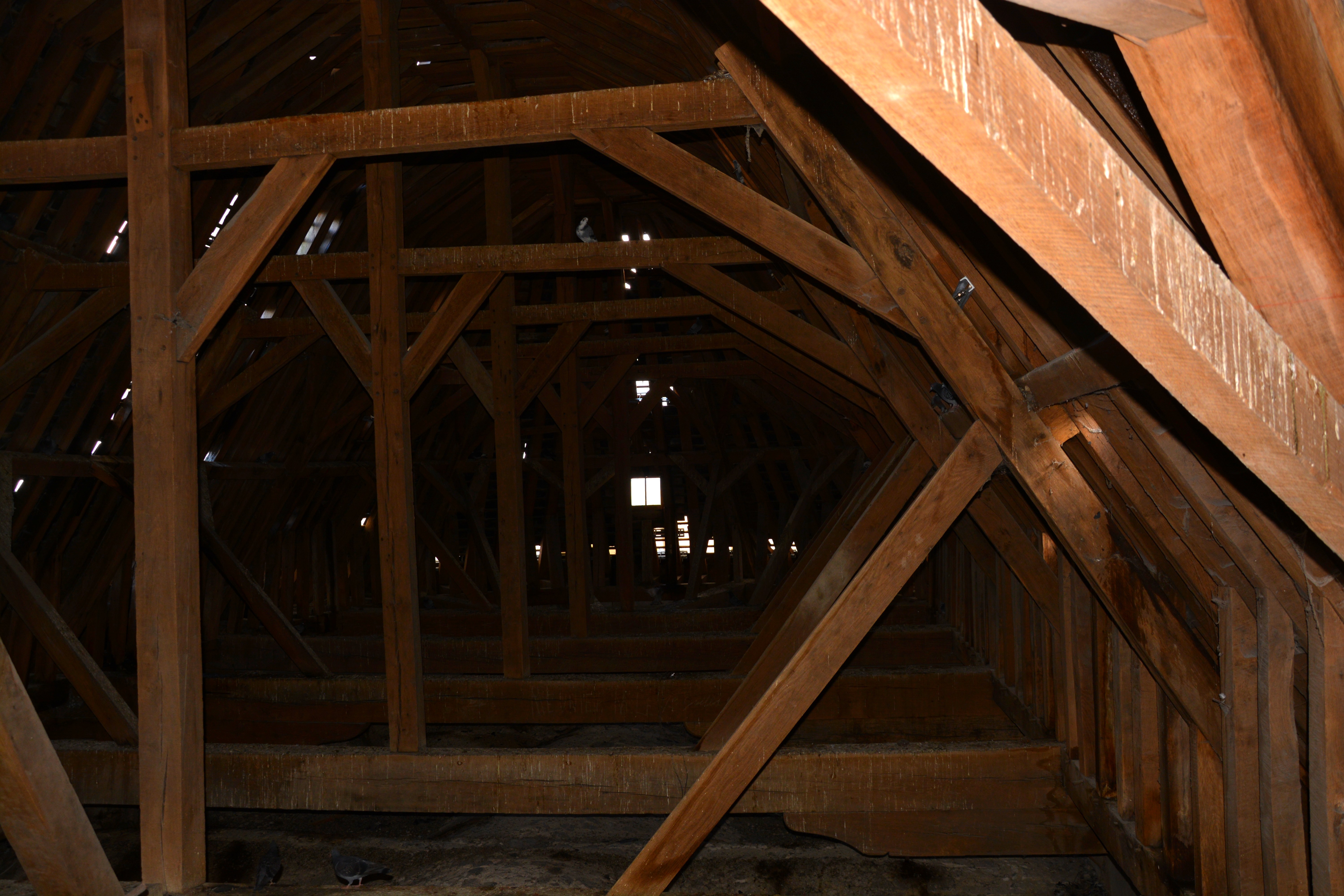 Rosace Transept Nord