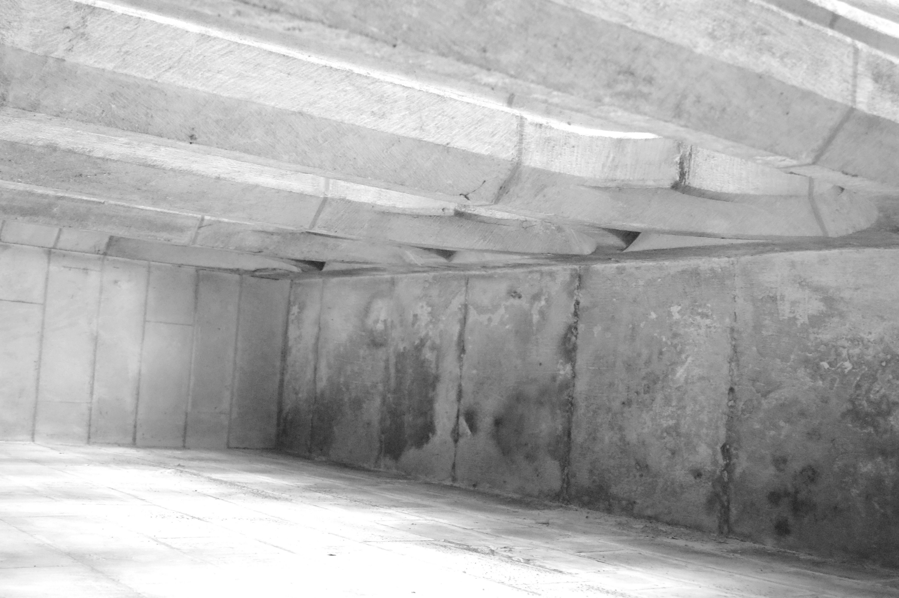 Cathédrale de Saint-Omer | triforium à baies de la Nefte